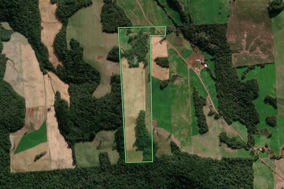 Imagem de satélite do imóvel rural em Nova Bassano (RS), com o contorno declarado no CAR desenhado por cima.