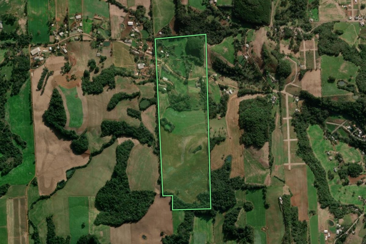 Imagem de satélite do imóvel rural em Nova Bassano (RS), com o contorno declarado no CAR desenhado por cima.