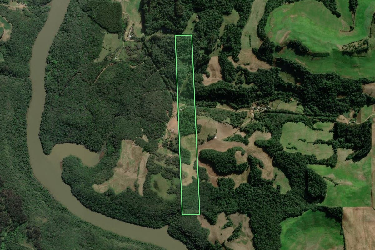 Imagem de satélite do imóvel rural em Nova Bassano (RS), com o contorno declarado no CAR desenhado por cima.