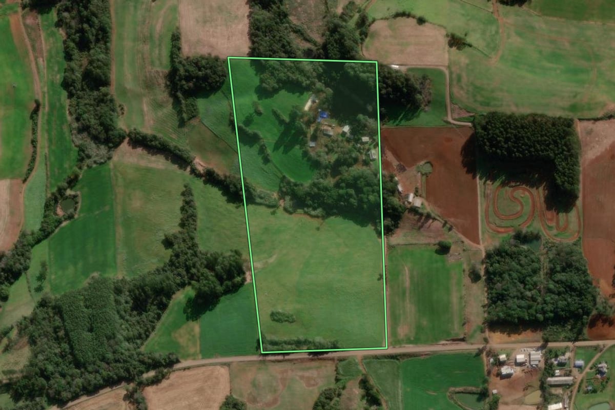 Imagem de satélite do imóvel rural em Nova Bassano (RS), com o contorno declarado no CAR desenhado por cima.