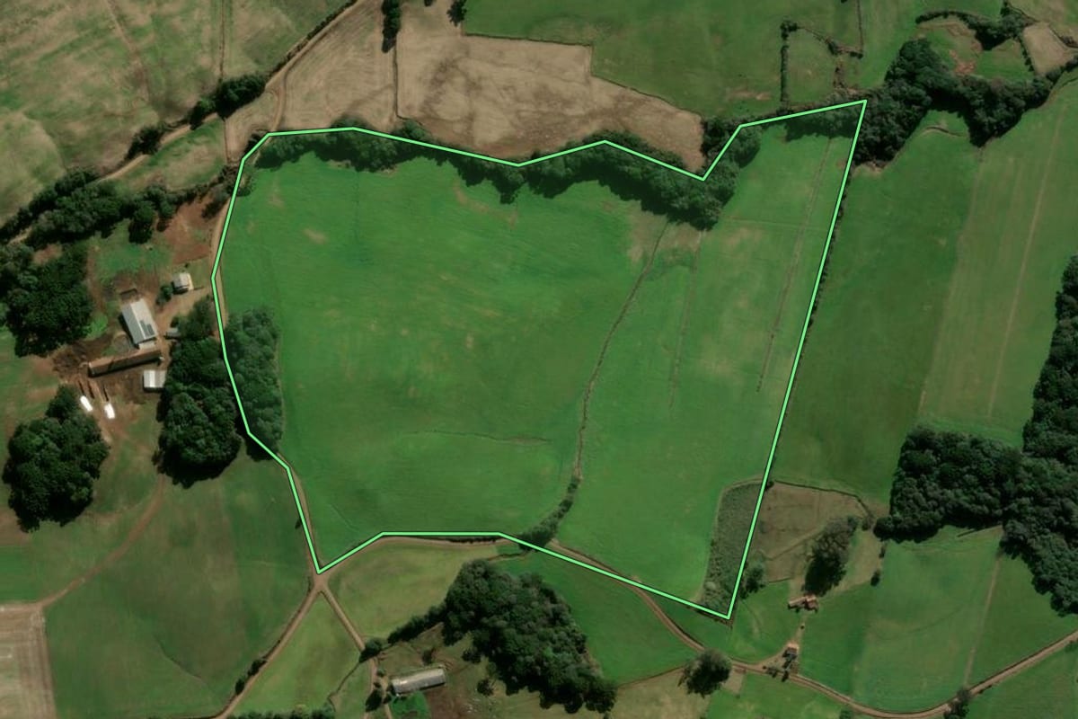 Imagem de satélite do imóvel rural em Nova Bassano (RS), com o contorno declarado no CAR desenhado por cima.