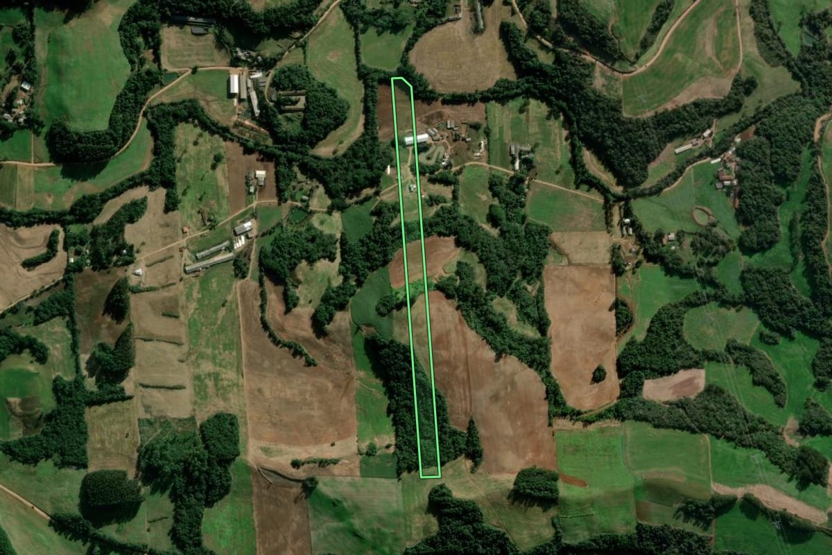 Imagem de satélite do imóvel rural em Nova Bassano (RS), com o contorno declarado no CAR desenhado por cima.