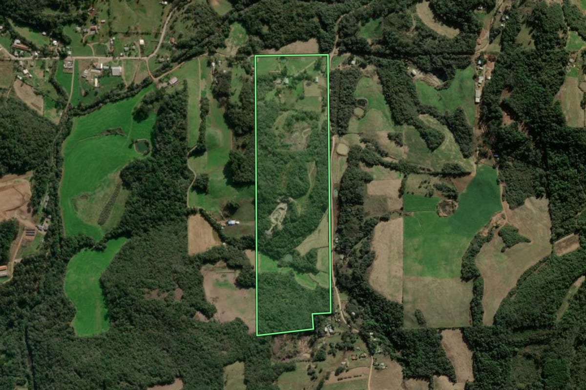 Imagem de satélite do imóvel rural em Nova Bassano (RS), com o contorno declarado no CAR desenhado por cima.