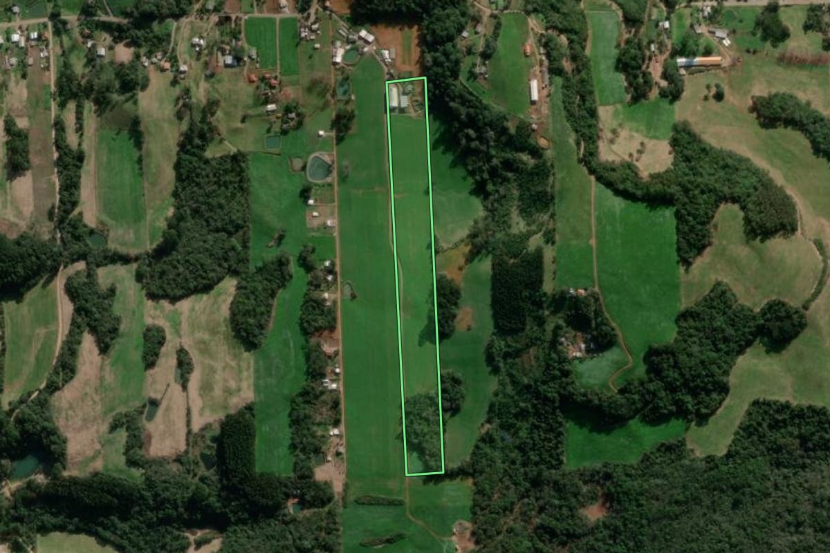 Imagem de satélite do imóvel rural em Nova Bassano (RS), com o contorno declarado no CAR desenhado por cima.