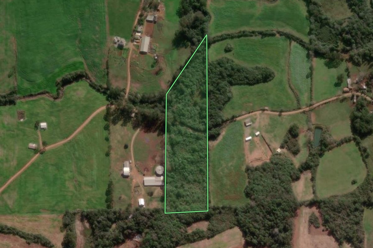 Imagem de satélite do imóvel rural em Nova Bassano (RS), com o contorno declarado no CAR desenhado por cima.