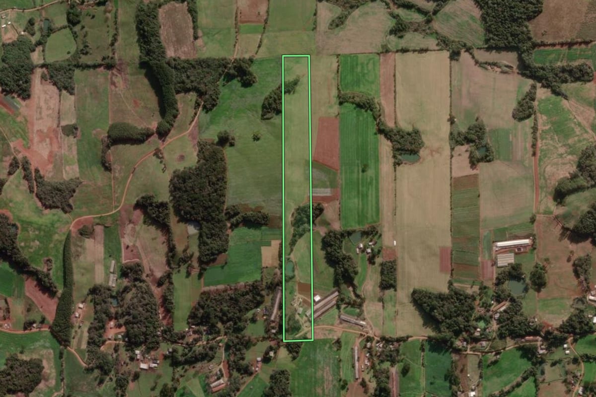 Imagem de satélite do imóvel rural em Nova Bassano (RS), com o contorno declarado no CAR desenhado por cima.