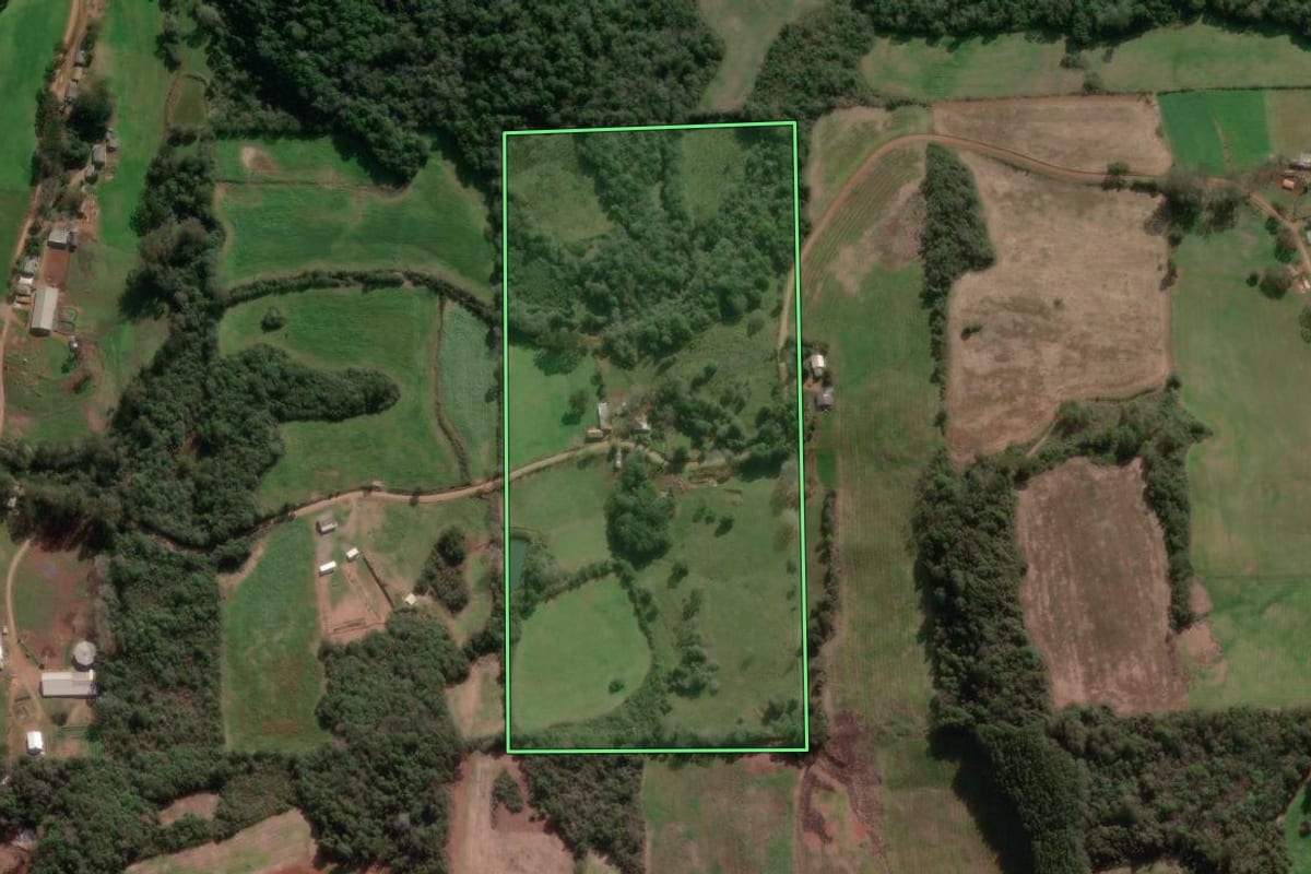 Imagem de satélite do imóvel rural em Nova Bassano (RS), com o contorno declarado no CAR desenhado por cima.
