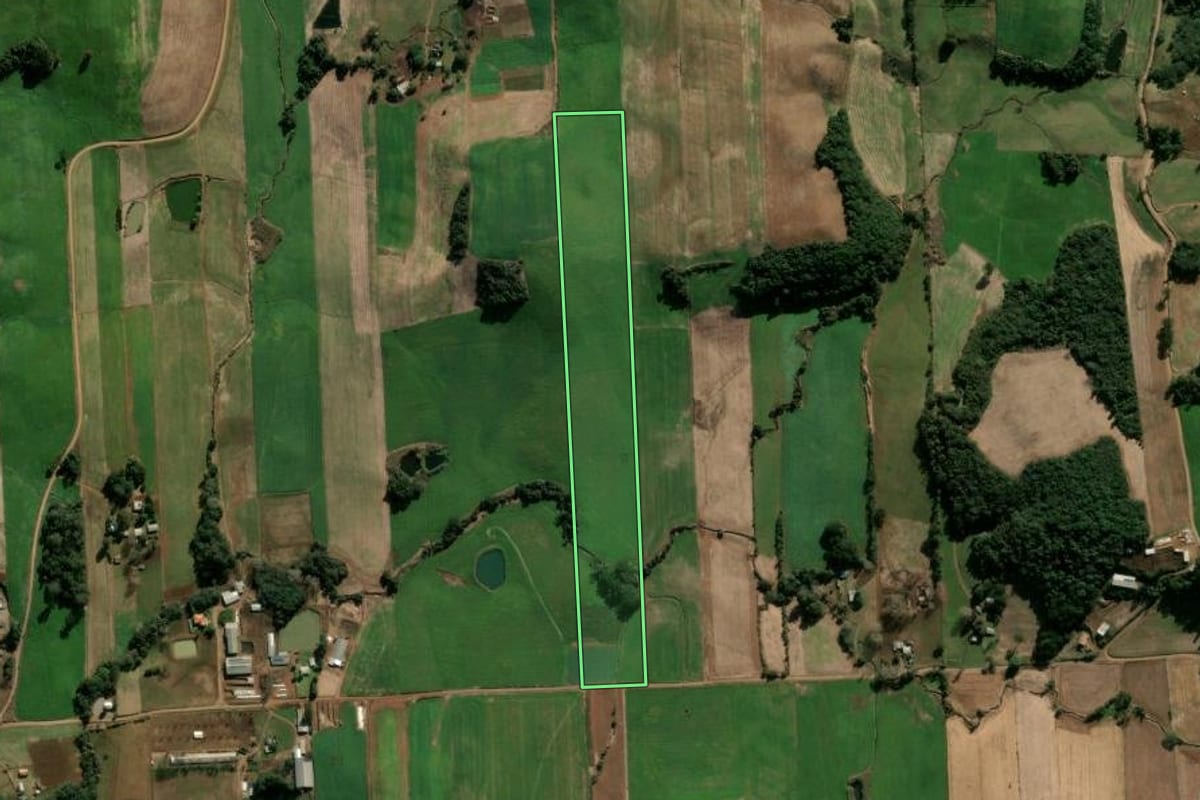 Imagem de satélite do imóvel rural em Nova Bassano (RS), com o contorno declarado no CAR desenhado por cima.
