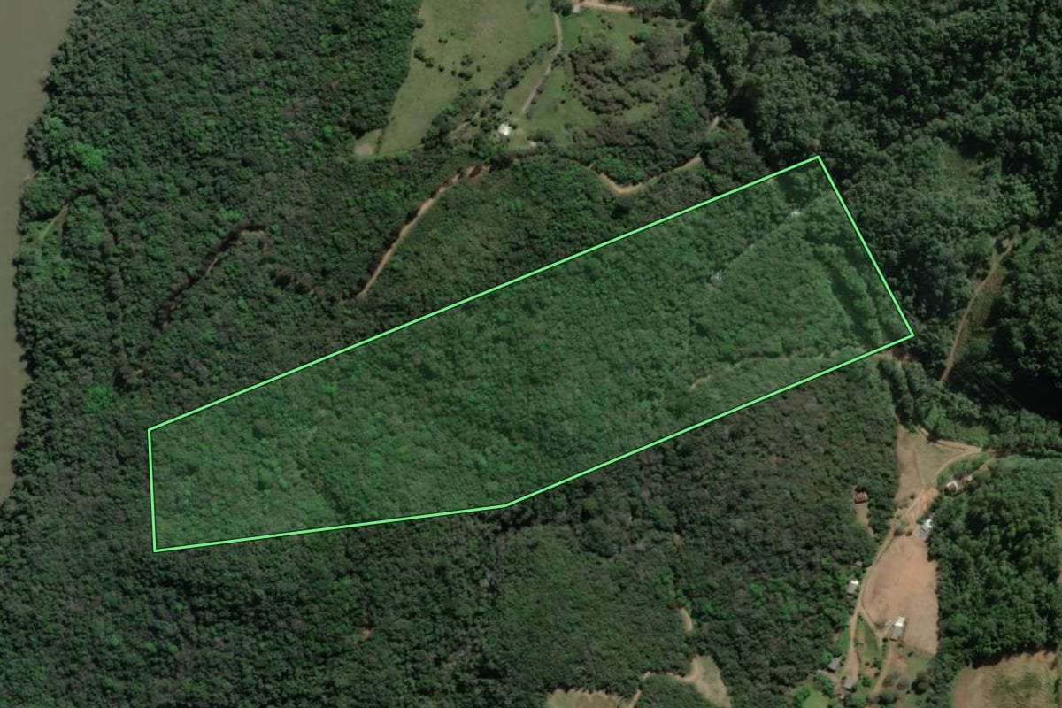 Imagem de satélite do imóvel rural em Nova Bassano (RS), com o contorno declarado no CAR desenhado por cima.
