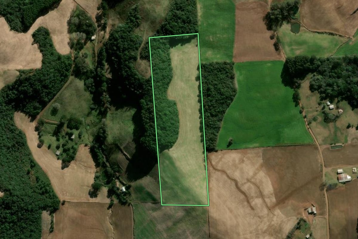 Imagem de satélite do imóvel rural em Nova Bassano (RS), com o contorno declarado no CAR desenhado por cima.