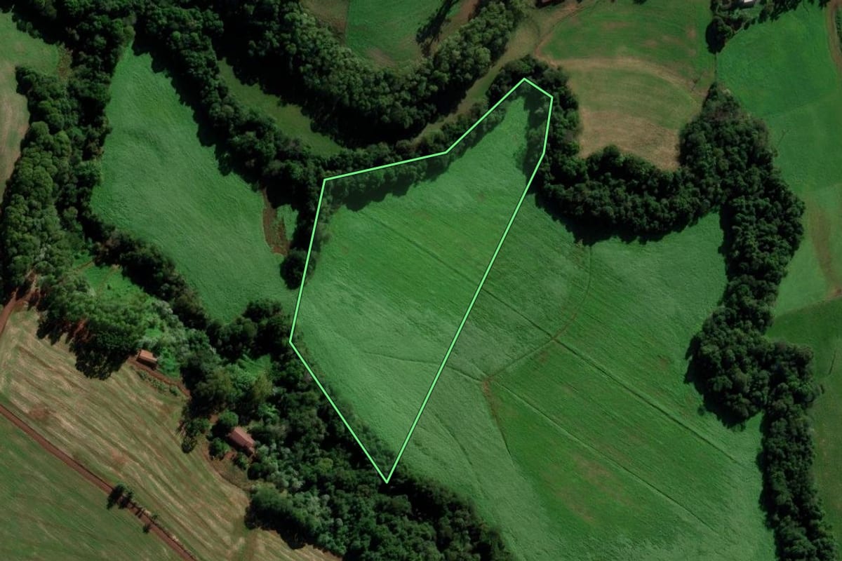 Imagem de satélite do imóvel rural em Nova Boa Vista (RS), com o contorno declarado no CAR desenhado por cima.