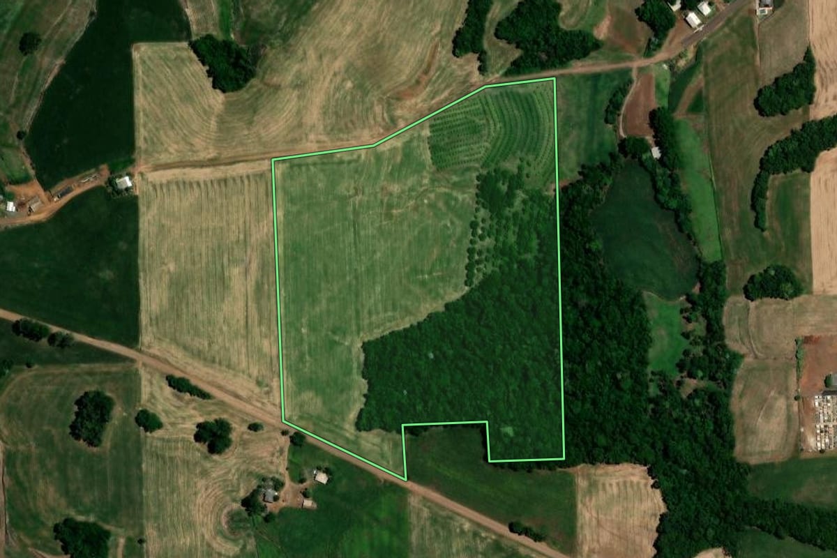Imagem de satélite do imóvel rural em Nova Boa Vista (RS), com o contorno declarado no CAR desenhado por cima.