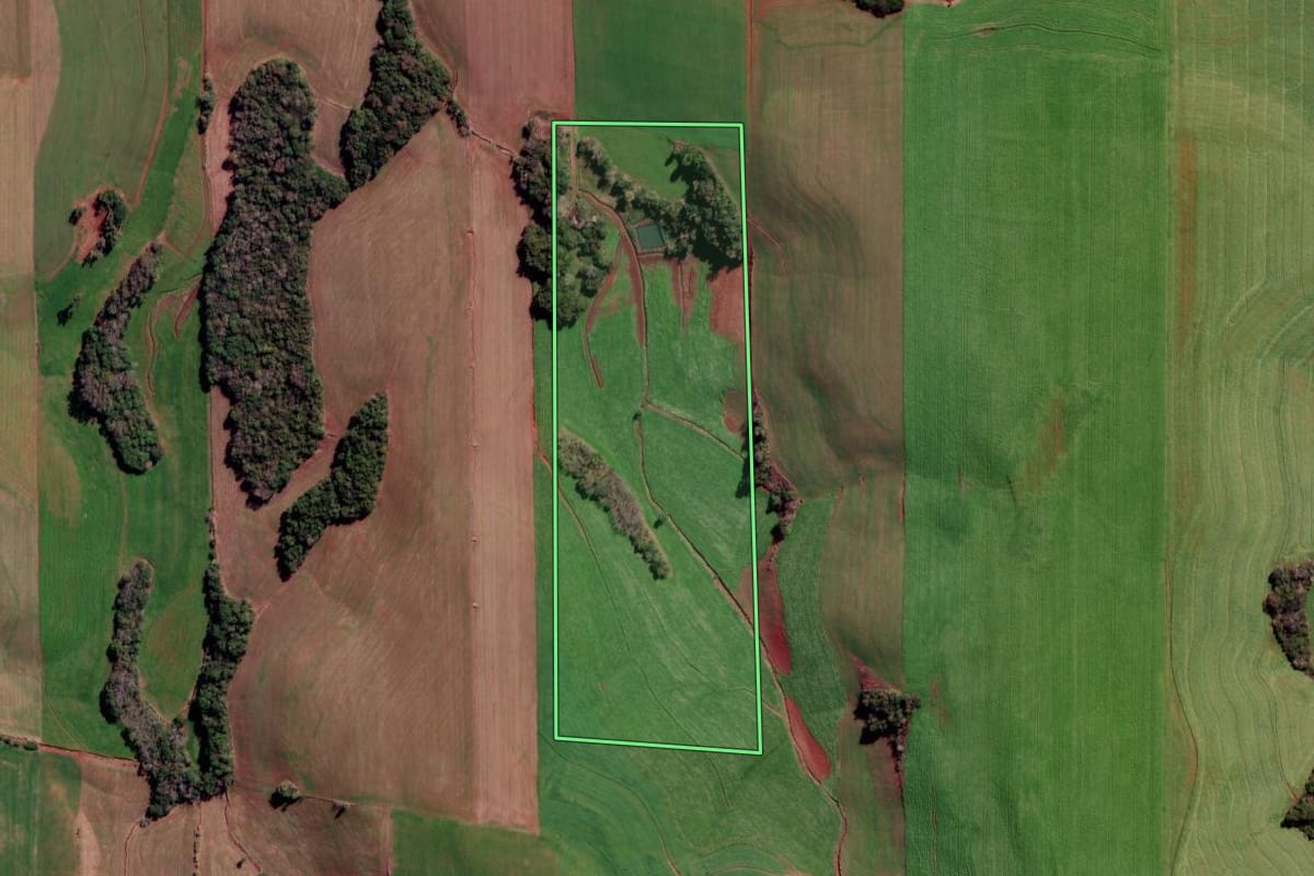 Imagem de satélite do imóvel rural em Nova Boa Vista (RS), com o contorno declarado no CAR desenhado por cima.