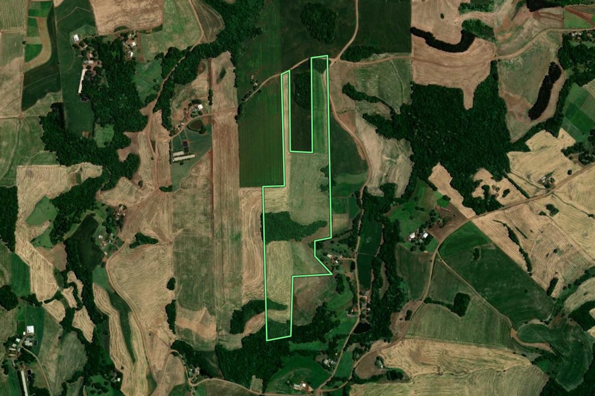 Imagem de satélite do imóvel rural em Nova Boa Vista (RS), com o contorno declarado no CAR desenhado por cima.