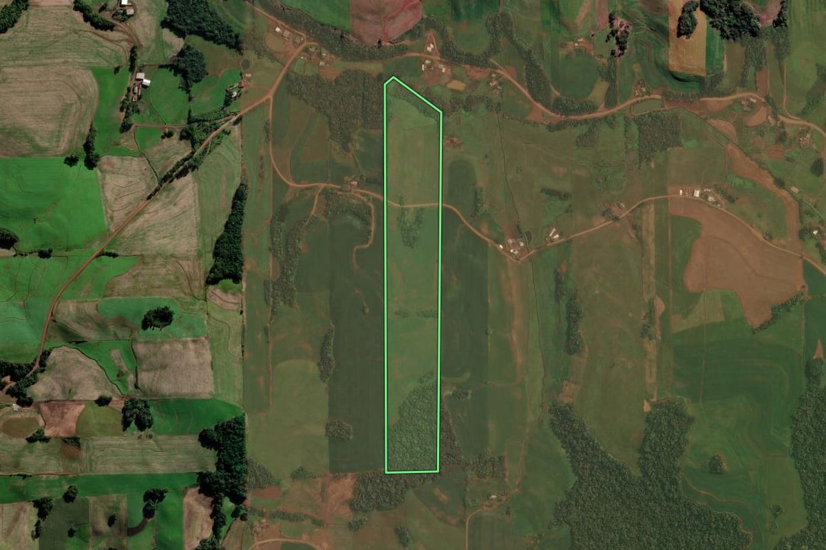 Imagem de satélite do imóvel rural em Nova Boa Vista (RS), com o contorno declarado no CAR desenhado por cima.