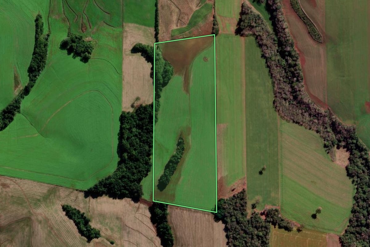 Imagem de satélite do imóvel rural em Nova Boa Vista (RS), com o contorno declarado no CAR desenhado por cima.