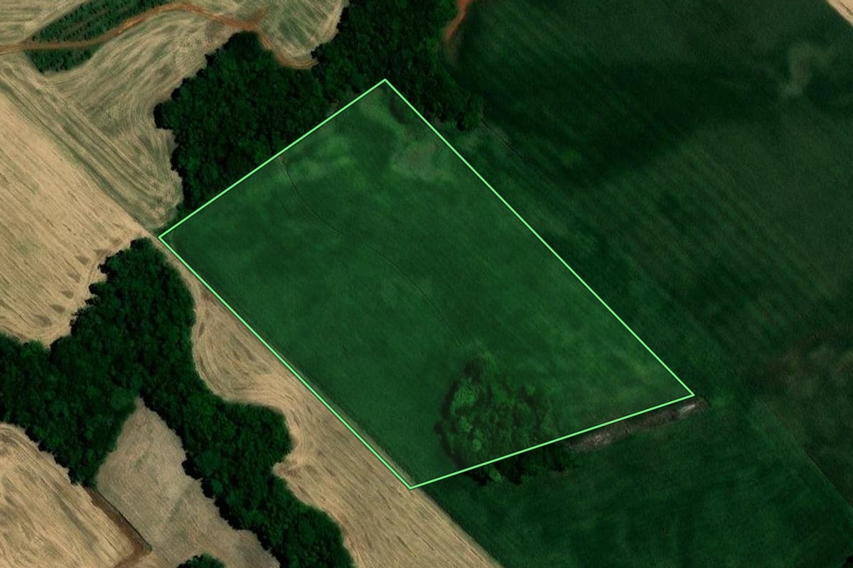 Imagem de satélite do imóvel rural em Nova Boa Vista (RS), com o contorno declarado no CAR desenhado por cima.