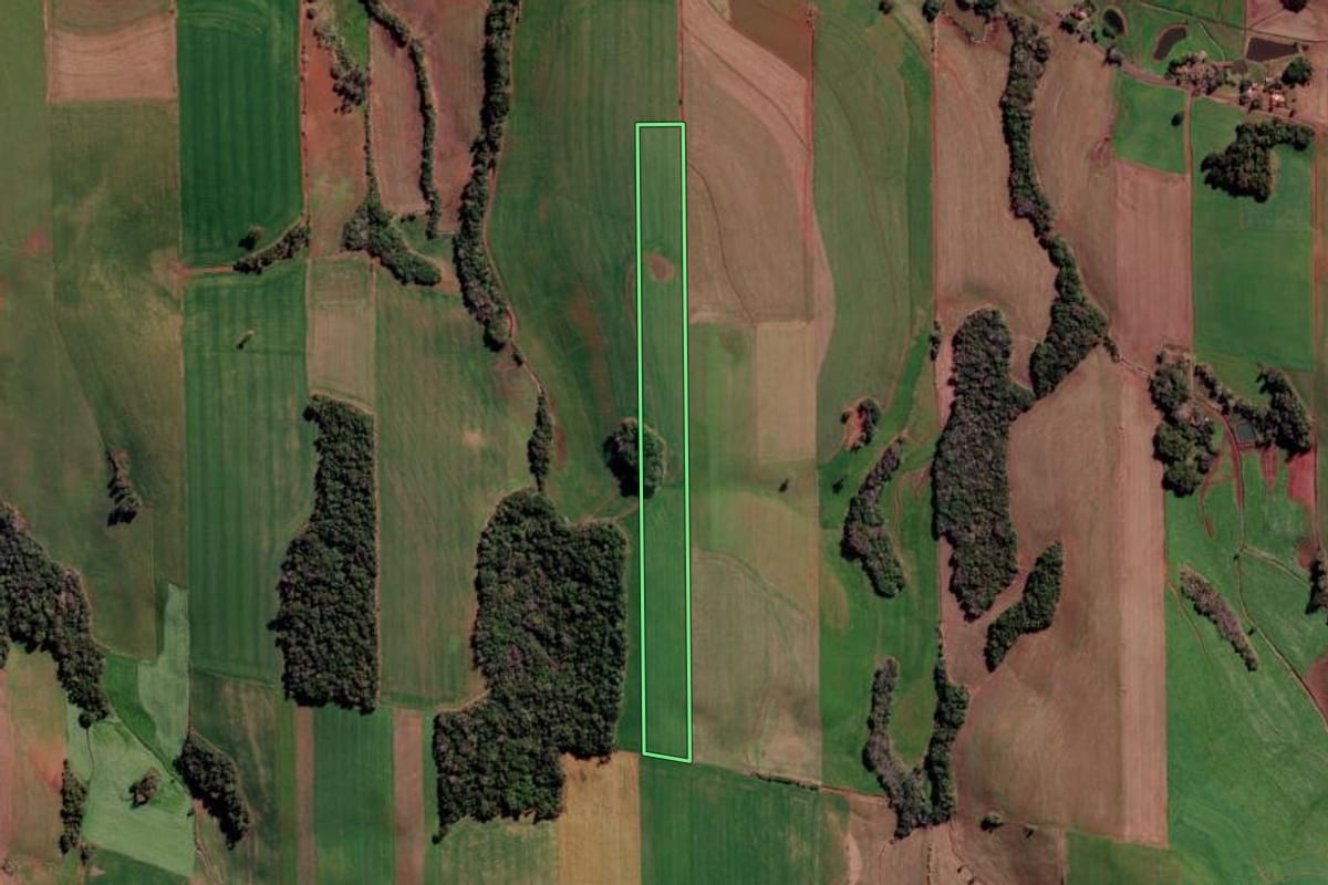 Imagem de satélite do imóvel rural em Nova Boa Vista (RS), com o contorno declarado no CAR desenhado por cima.