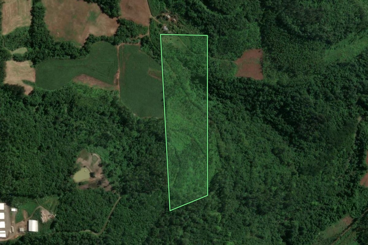 Imagem de satélite do imóvel rural em Nova Bréscia (RS), com o contorno declarado no CAR desenhado por cima.