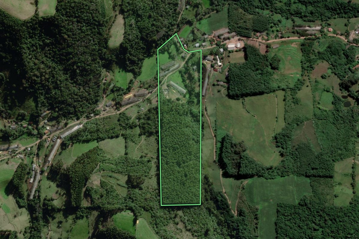 Imagem de satélite do imóvel rural em Nova Bréscia (RS), com o contorno declarado no CAR desenhado por cima.