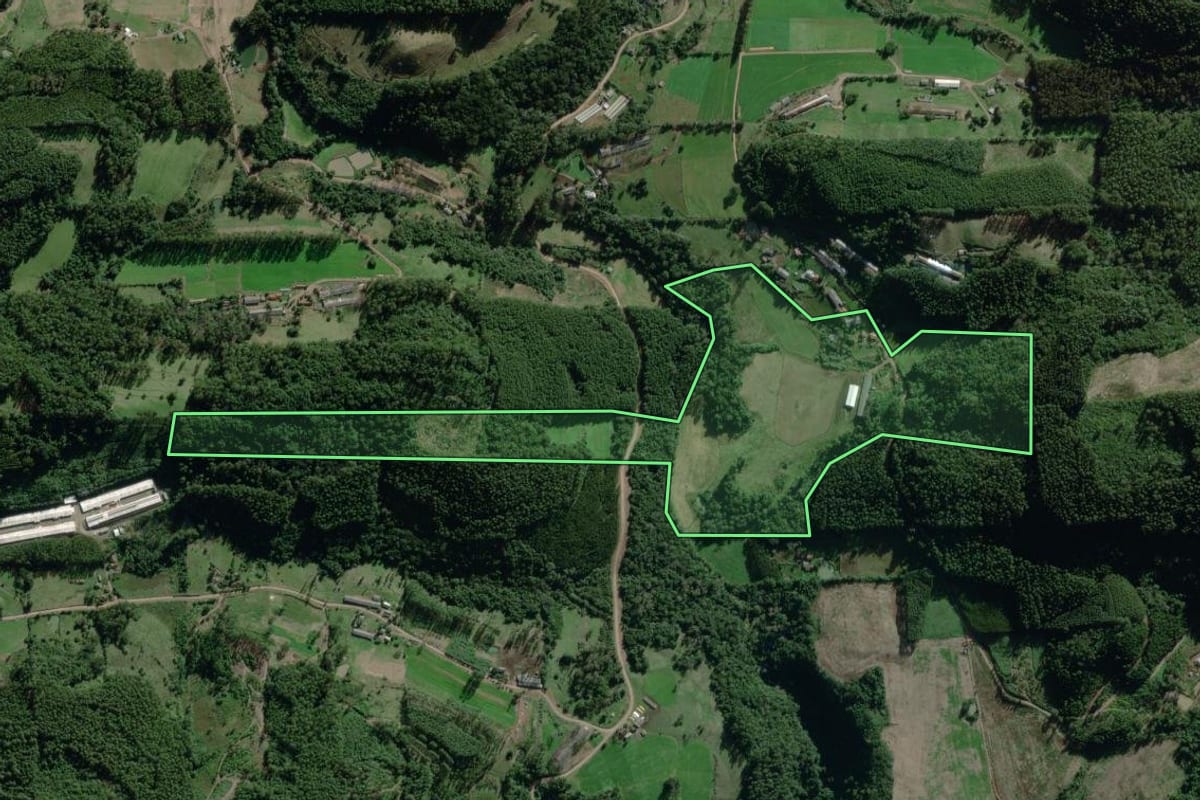 Imagem de satélite do imóvel rural em Nova Bréscia (RS), com o contorno declarado no CAR desenhado por cima.