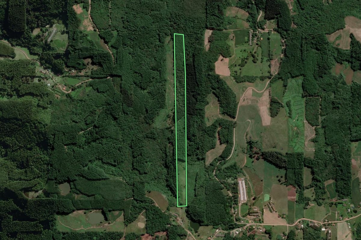 Imagem de satélite do imóvel rural em Nova Bréscia (RS), com o contorno declarado no CAR desenhado por cima.