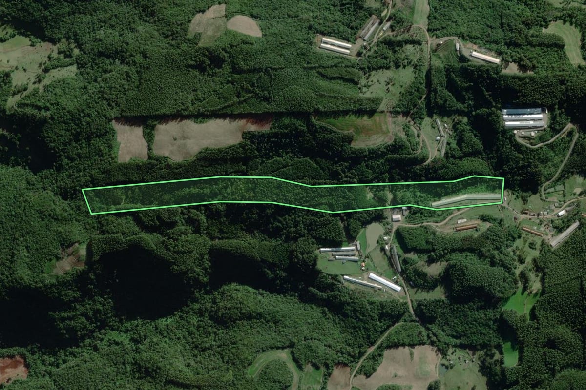 Imagem de satélite do imóvel rural em Nova Bréscia (RS), com o contorno declarado no CAR desenhado por cima.
