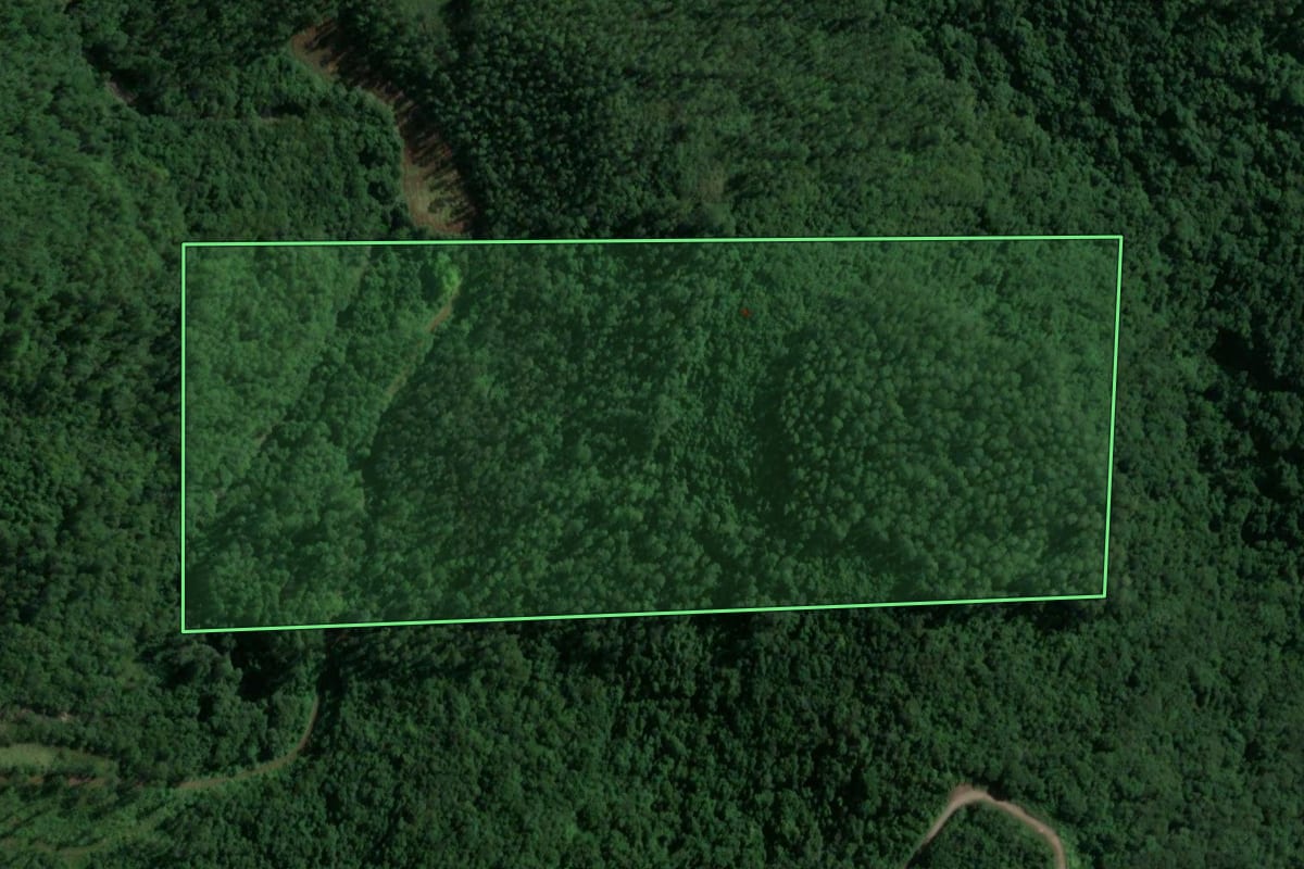 Imagem de satélite do imóvel rural em Nova Bréscia (RS), com o contorno declarado no CAR desenhado por cima.