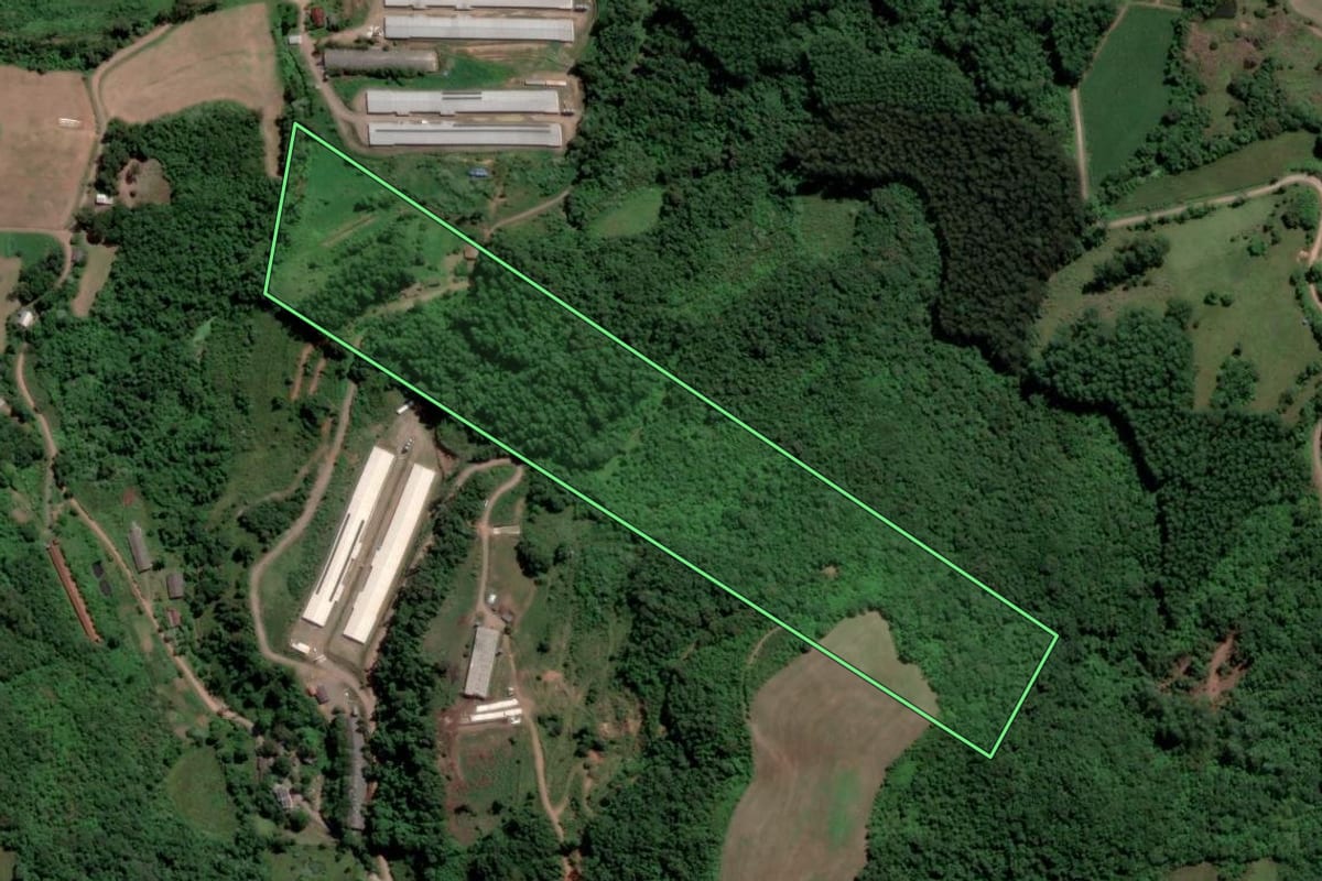 Imagem de satélite do imóvel rural em Nova Bréscia (RS), com o contorno declarado no CAR desenhado por cima.