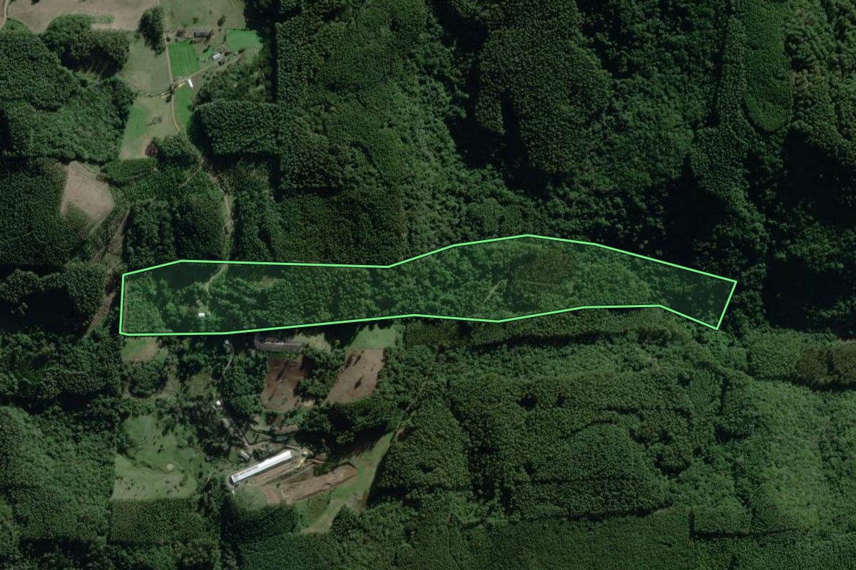 Imagem de satélite do imóvel rural em Nova Bréscia (RS), com o contorno declarado no CAR desenhado por cima.