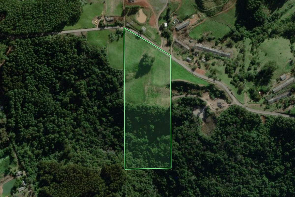 Imagem de satélite do imóvel rural em Nova Bréscia (RS), com o contorno declarado no CAR desenhado por cima.