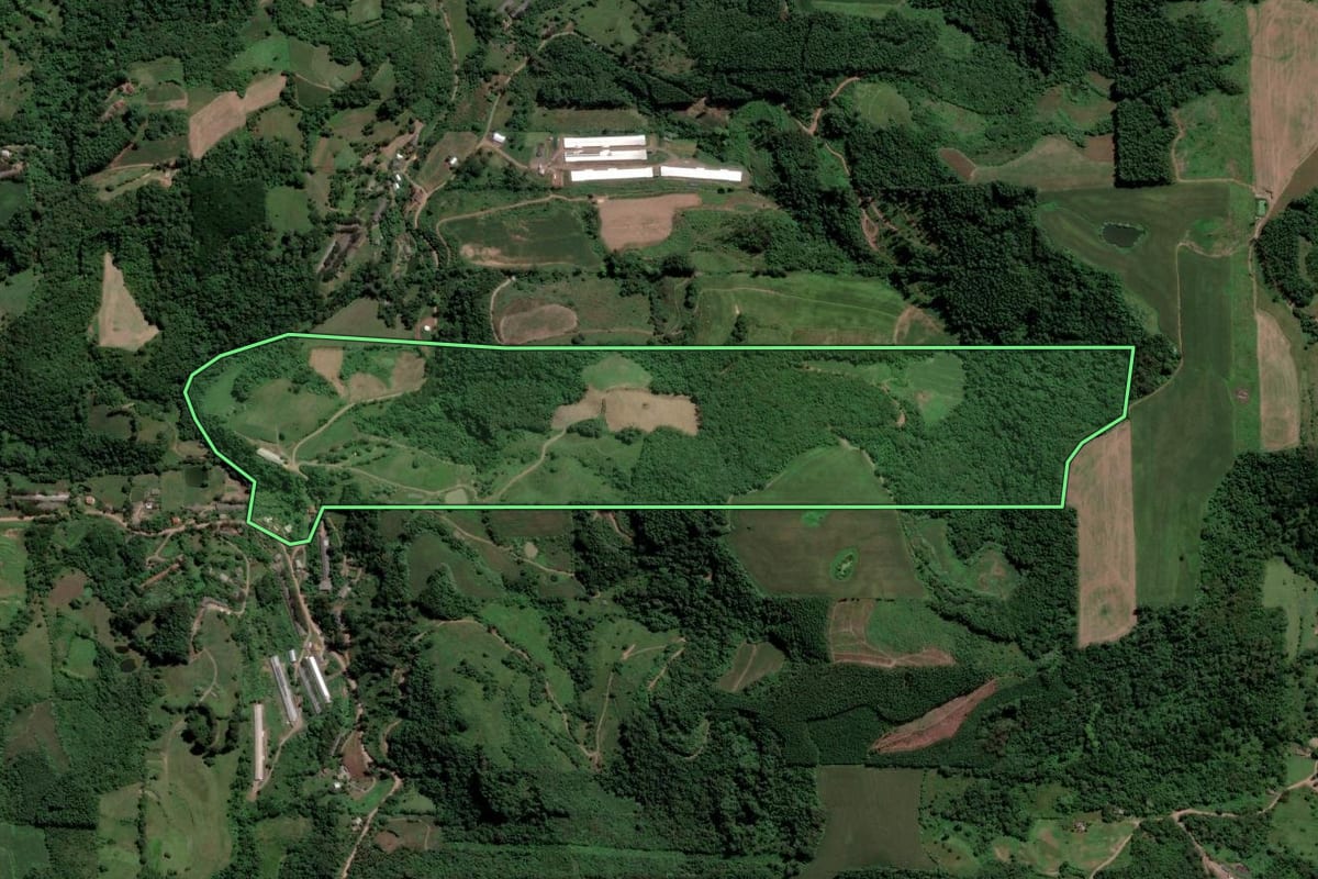 Imagem de satélite do imóvel rural em Nova Bréscia (RS), com o contorno declarado no CAR desenhado por cima.