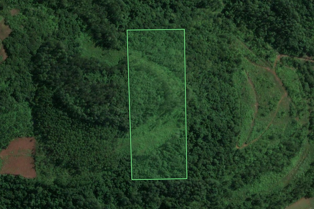 Imagem de satélite do imóvel rural em Nova Bréscia (RS), com o contorno declarado no CAR desenhado por cima.