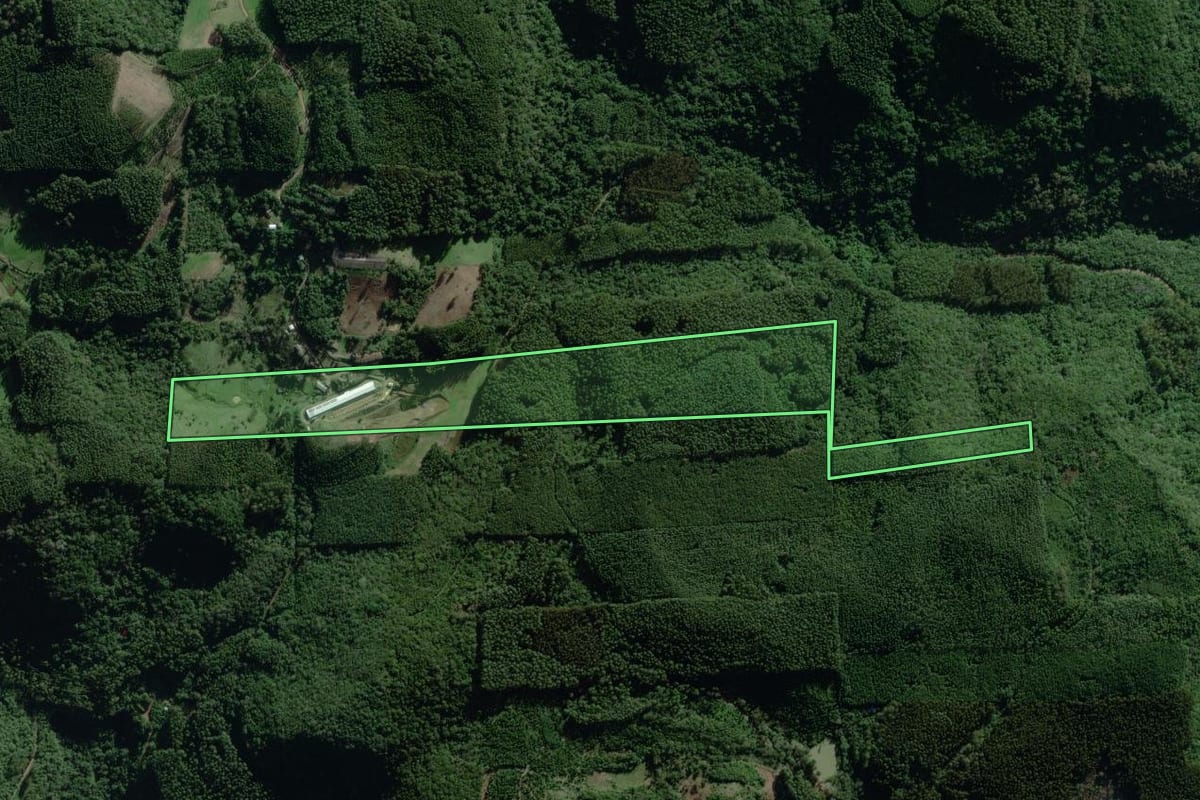 Imagem de satélite do imóvel rural em Nova Bréscia (RS), com o contorno declarado no CAR desenhado por cima.