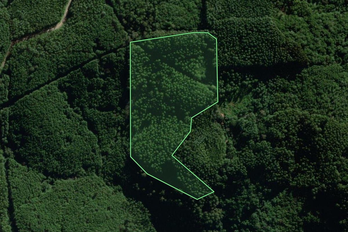 Imagem de satélite do imóvel rural em Nova Bréscia (RS), com o contorno declarado no CAR desenhado por cima.