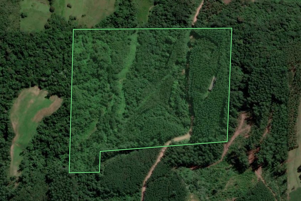 Imagem de satélite do imóvel rural em Nova Bréscia (RS), com o contorno declarado no CAR desenhado por cima.