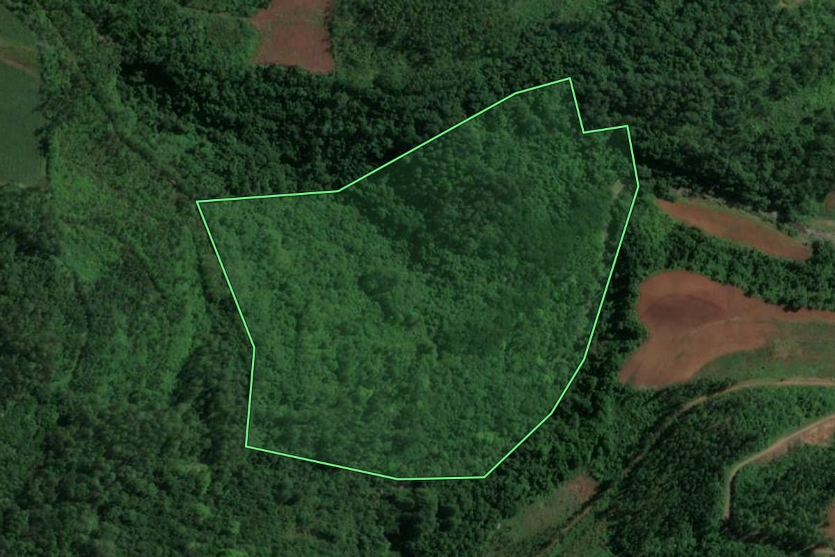Imagem de satélite do imóvel rural em Nova Bréscia (RS), com o contorno declarado no CAR desenhado por cima.