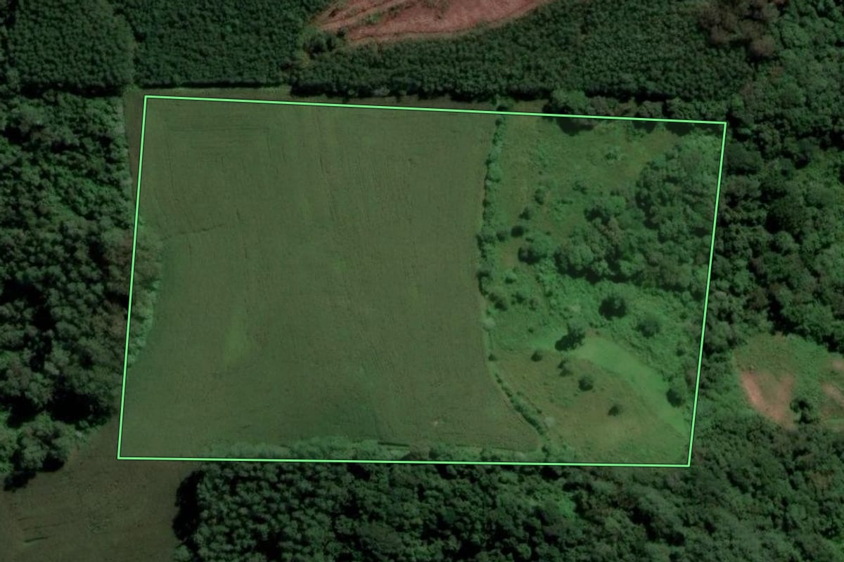 Imagem de satélite do imóvel rural em Nova Bréscia (RS), com o contorno declarado no CAR desenhado por cima.