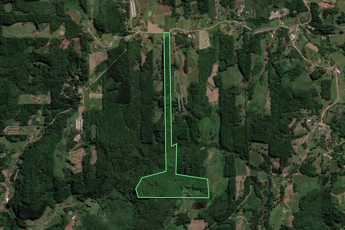 Imagem de satélite do imóvel rural em Nova Bréscia (RS), com o contorno declarado no CAR desenhado por cima.