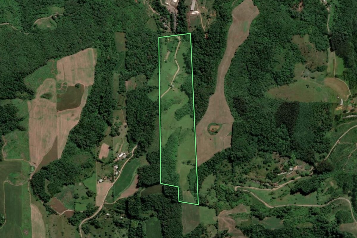 Imagem de satélite do imóvel rural em Nova Bréscia (RS), com o contorno declarado no CAR desenhado por cima.