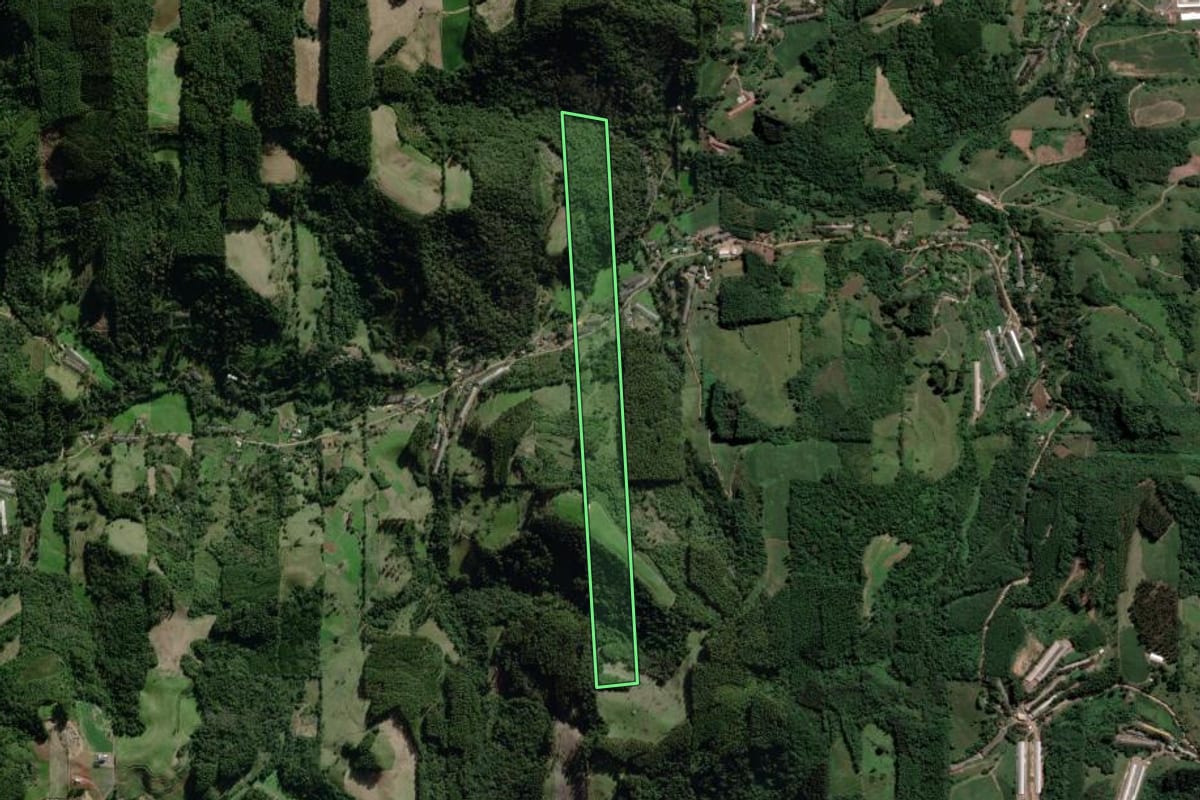 Imagem de satélite do imóvel rural em Nova Bréscia (RS), com o contorno declarado no CAR desenhado por cima.