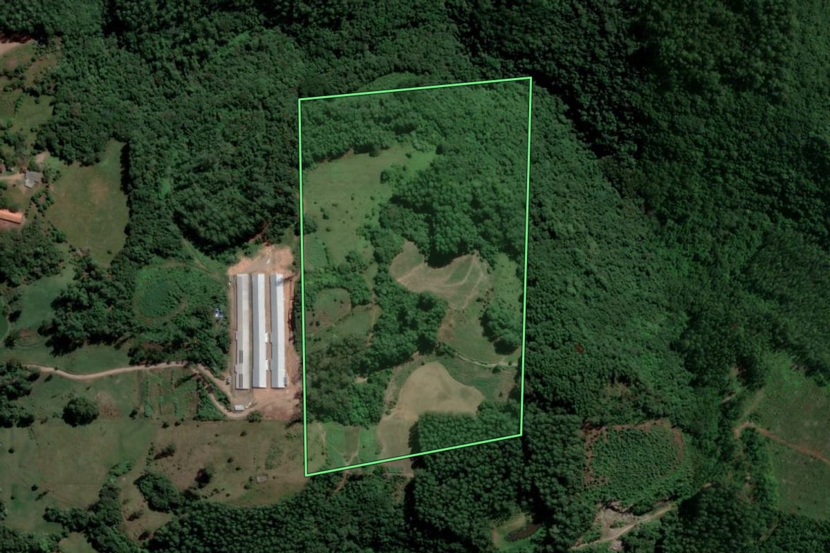 Imagem de satélite do imóvel rural em Nova Bréscia (RS), com o contorno declarado no CAR desenhado por cima.