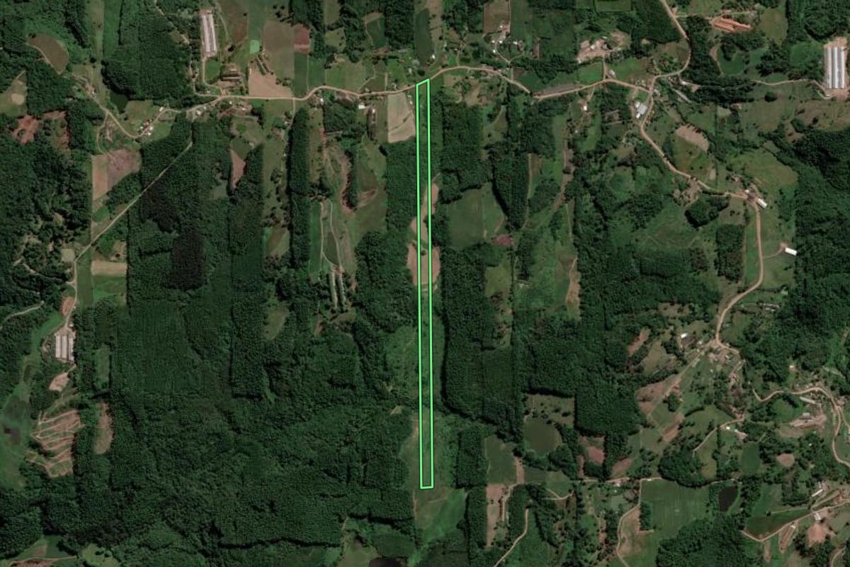 Imagem de satélite do imóvel rural em Nova Bréscia (RS), com o contorno declarado no CAR desenhado por cima.