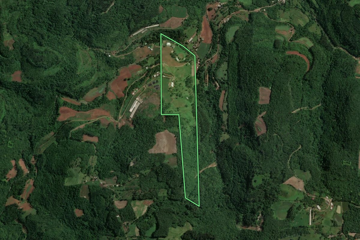 Imagem de satélite do imóvel rural em Nova Bréscia (RS), com o contorno declarado no CAR desenhado por cima.