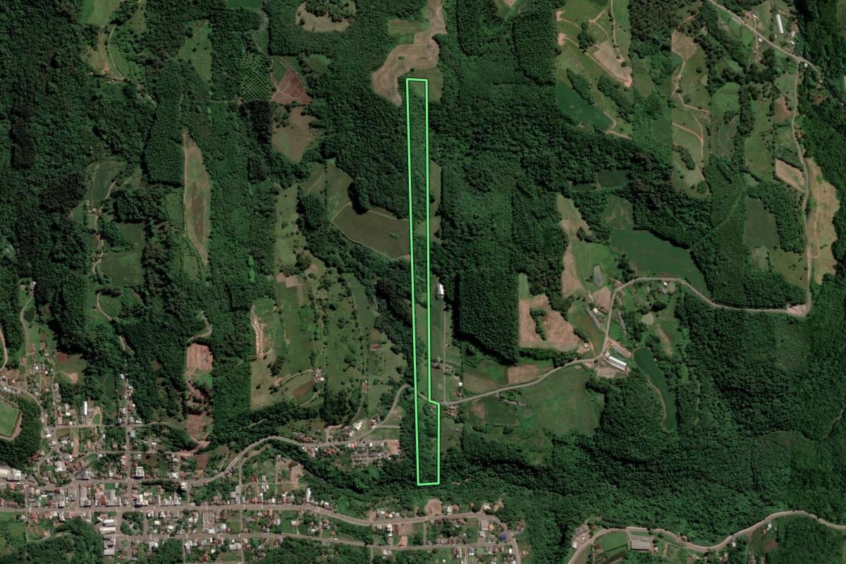 Imagem de satélite do imóvel rural em Nova Bréscia (RS), com o contorno declarado no CAR desenhado por cima.