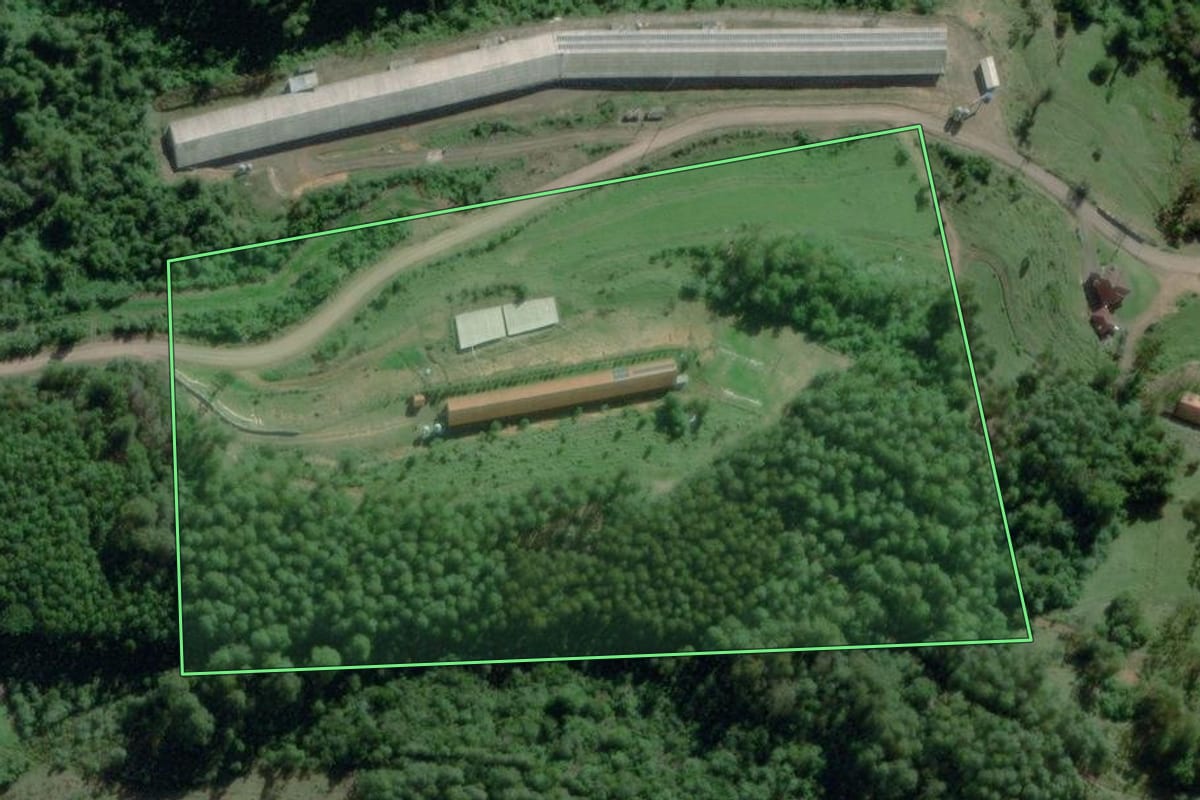 Imagem de satélite do imóvel rural em Nova Bréscia (RS), com o contorno declarado no CAR desenhado por cima.