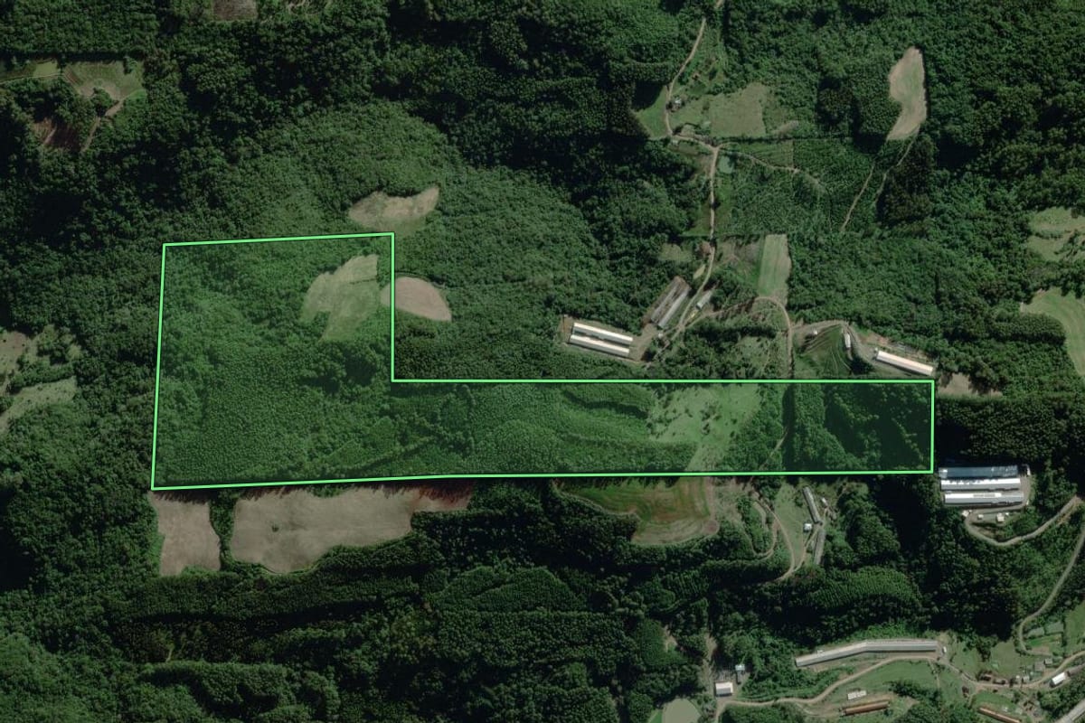Imagem de satélite do imóvel rural em Nova Bréscia (RS), com o contorno declarado no CAR desenhado por cima.