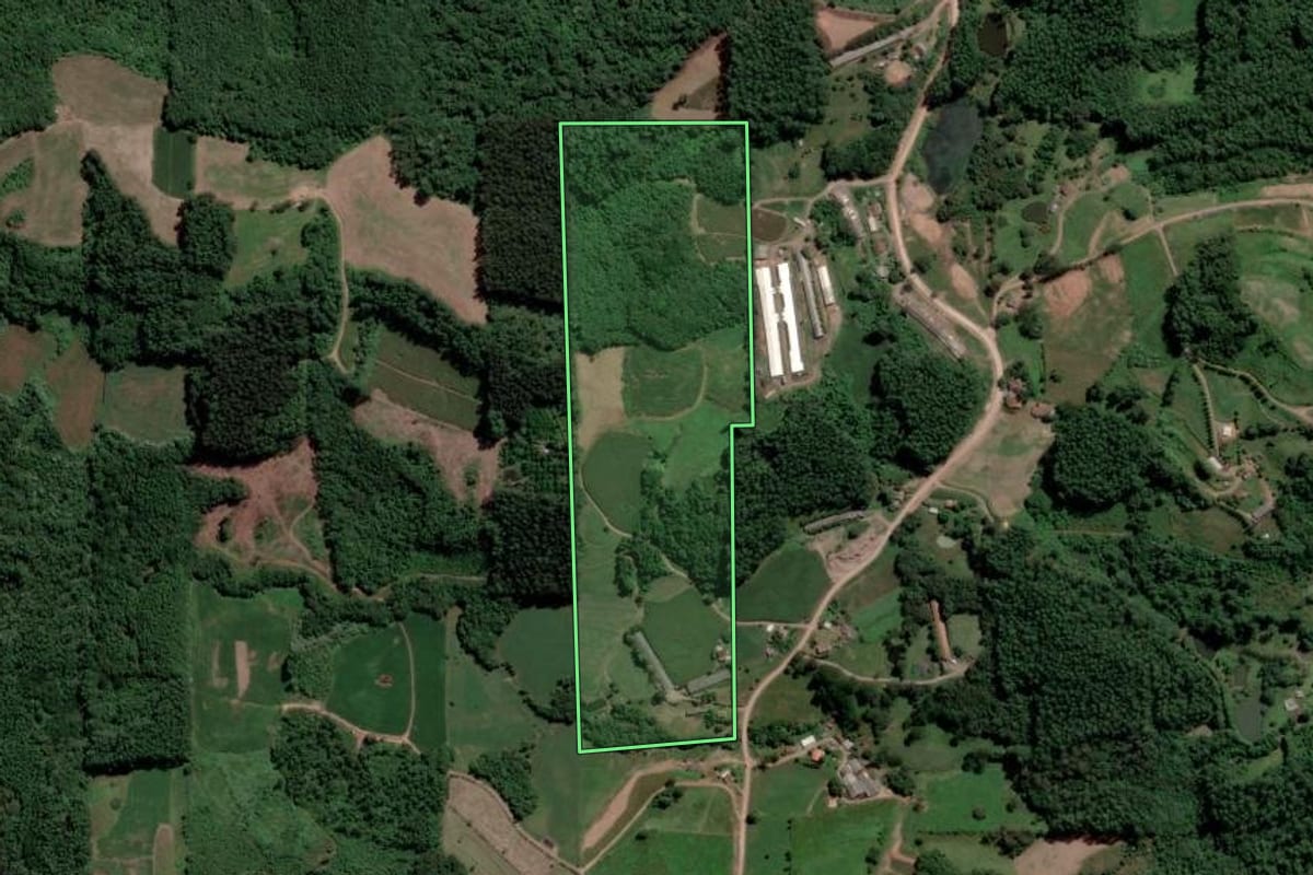 Imagem de satélite do imóvel rural em Nova Bréscia (RS), com o contorno declarado no CAR desenhado por cima.