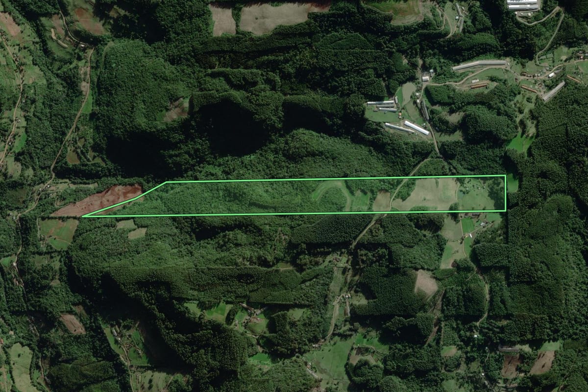 Imagem de satélite do imóvel rural em Nova Bréscia (RS), com o contorno declarado no CAR desenhado por cima.