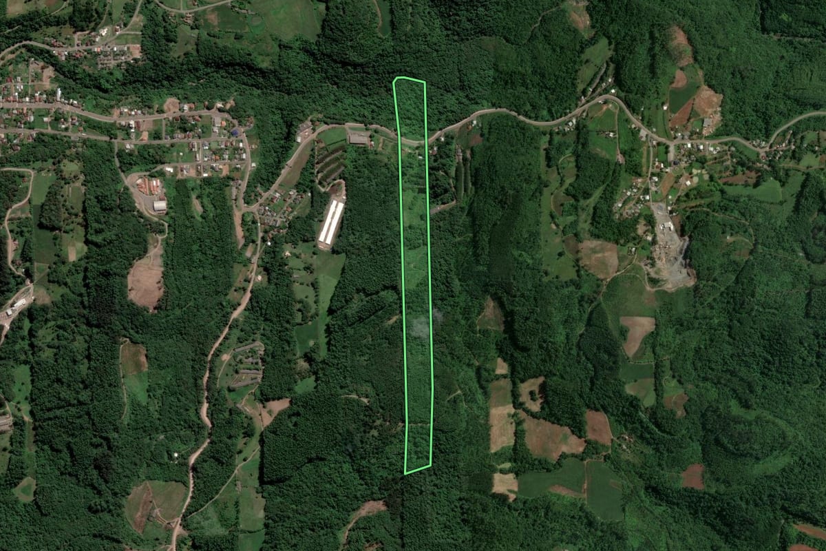 Imagem de satélite do imóvel rural em Nova Bréscia (RS), com o contorno declarado no CAR desenhado por cima.